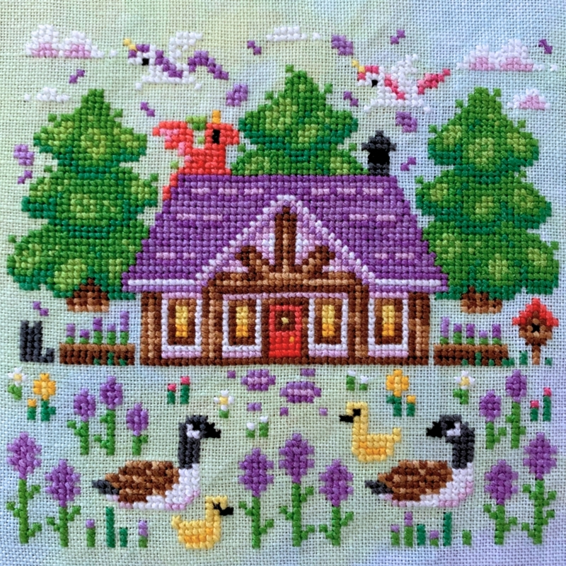 Lavender Farm